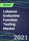 2022-2026 Lebanon Endocrine Function Testing Market - Supplier Shares, Forecasts for 20 Tests, Opportunities - Growth Strategies, Volume and Sales Segment Forecasts, Latest Technologies and Instrumentation Pipeline- Product Image