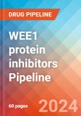 WEE1 protein inhibitors - Pipeline Insight, 2024- Product Image