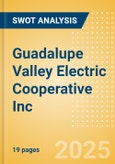 Guadalupe Valley Electric Cooperative Inc - Strategic SWOT Analysis Review- Product Image