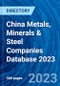 China Metals, Minerals & Steel Companies Database 2023 - Product Thumbnail Image