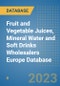 Fruit and Vegetable Juices, Mineral Water and Soft Drinks Wholesalers Europe Database - Product Image