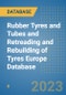 Rubber Tyres and Tubes and Retreading and Rebuilding of Tyres Europe Database - Product Thumbnail Image