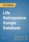 Life Reinsurance Europe Database - Product Image