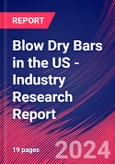 Blow Dry Bars in the US - Industry Research Report- Product Image