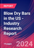 Blow Dry Bars in the US - Industry Research Report- Product Image