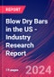 Blow Dry Bars in the US - Industry Research Report - Product Thumbnail Image