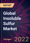 Global Insoluble Sulfur Market 2022-2026- Product Image