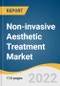 Non-invasive Aesthetic Treatment Market Size, Share & Trends Analysis Report by Procedure (Skin Rejuvenation, Injectable), by End Use (Hospital/Surgery Center, MedSpa), by Region, and Segment Forecasts, 2022-2030 - Product Image