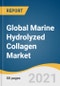 Global Marine Hydrolyzed Collagen Market Size, Share & Trends Analysis Report by Application (Cosmetics & Personal Care, Food & Beverages, Healthcare), Region (North America, APAC), and Segment Forecasts, 2021-2028 - Product Image