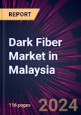 Dark Fiber Market in Malaysia 2021-2025- Product Image