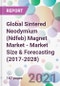 Global Sintered Neodymium (Ndfeb) Magnet Market - Market Size & Forecasting (2017-2028) - Product Thumbnail Image
