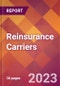 Reinsurance Carriers - 2022 U.S. Market Research Report with Updated Forecasts - Product Thumbnail Image