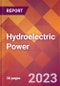 Hydroelectric Power - 2022 U.S. Market Research Report with Updated COVID-19 Forecasts - Product Image