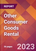 Other Consumer Goods Rental - 2022 U.S. Market Research Report with Updated COVID-19 Forecasts- Product Image