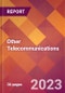 Other Telecommunications - 2022 U.S. Market Research Report with Updated Forecasts - Product Image