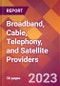 Broadband, Cable, Telephony, and Satellite Providers - 2022 U.S. Market Research Report with Updated COVID-19 Forecasts - Product Thumbnail Image