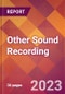 Other Sound Recording - 2022 U.S. Market Research Report with Updated Forecasts - Product Image