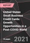 United States Small Business Credit Cards: Growth Opportunities in a Post-COVID World - Product Thumbnail Image