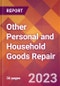 Other Personal and Household Goods Repair - 2022 U.S. Market Research Report with Updated COVID-19 Forecasts - Product Thumbnail Image