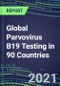 2022-2026 Global Parvovirus B19 Testing in 90 Countries - Product Thumbnail Image