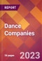 Dance Companies - 2022 U.S. Market Research Report with Updated COVID-19 Forecasts - Product Thumbnail Image