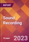 Sound Recording - 2022 U.S. Market Research Report with Updated COVID-19 Forecasts - Product Thumbnail Image