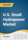 U.S. Small Hydropower Market Size, Share & Trends Analysis Report by Capacity (Up To 1 MW, 1-10 MW), by Type (Micro, Mini), by Component (Electromechanical Equipment, Civil Construction), and Segment Forecasts, 2021-2028- Product Image