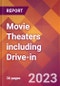 Movie Theaters including Drive-in - 2022 U.S. Market Research Report with Updated COVID-19 Forecasts - Product Thumbnail Image