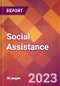 Social Assistance - 2022 U.S. Market Research Report with Updated Forecasts - Product Thumbnail Image