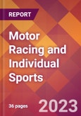 Motor Racing and Individual Sports - 2022 U.S. Market Research Report with Updated COVID-19 Forecasts- Product Image