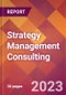 Strategy Management Consulting - 2022 U.S. Market Research Report with Updated Forecasts - Product Thumbnail Image
