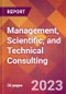 Management, Scientific, and Technical Consulting - 2022 U.S. Market Research Report with Updated Forecasts - Product Image