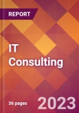 IT Consulting - 2022 U.S. Market Research Report with Updated Forecasts- Product Image
