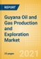 Guyana Oil and Gas Production and Exploration Market by Terrain, Assets and Major Companies, 2021 Update - Product Thumbnail Image