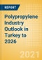 Polypropylene Industry Outlook in Turkey to 2026 - Market Size, Company Share, Price Trends, Capacity Forecasts of All Active and Planned Plants - Product Thumbnail Image