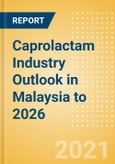Caprolactam Industry Outlook in Malaysia to 2026 - Market Size, Price Trends and Trade Balance- Product Image
