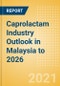 Caprolactam Industry Outlook in Malaysia to 2026 - Market Size, Price Trends and Trade Balance - Product Thumbnail Image