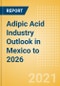 Adipic Acid Industry Outlook in Mexico to 2026 - Market Size, Company Share, Price Trends, Capacity Forecasts of All Active and Planned Plants - Product Image