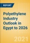 Polyethylene Industry Outlook in Egypt to 2026 - Market Size, Company Share, Price Trends, Capacity Forecasts of All Active and Planned Plants - Product Thumbnail Image
