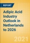 Adipic Acid Industry Outlook in Netherlands to 2026 - Market Size, Price Trends and Trade Balance - Product Thumbnail Image