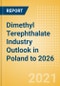 Dimethyl Terephthalate (DMT) Industry Outlook in Poland to 2026 - Market Size, Price Trends and Trade Balance - Product Thumbnail Image