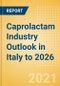Caprolactam Industry Outlook in Italy to 2026 - Market Size, Price Trends and Trade Balance - Product Image