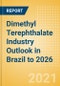 Dimethyl Terephthalate (DMT) Industry Outlook in Brazil to 2026 - Market Size, Price Trends and Trade Balance - Product Thumbnail Image