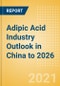 Adipic Acid Industry Outlook in China to 2026 - Market Size, Company Share, Price Trends, Capacity Forecasts of All Active and Planned Plants - Product Thumbnail Image