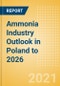Ammonia Industry Outlook in Poland to 2026 - Market Size, Company Share, Price Trends, Capacity Forecasts of All Active and Planned Plants - Product Thumbnail Image