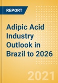Adipic Acid Industry Outlook in Brazil to 2026 - Market Size, Company Share, Price Trends, Capacity Forecasts of All Active and Planned Plants- Product Image