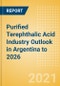Purified Terephthalic Acid (PTA) Industry Outlook in Argentina to 2026 - Market Size, Price Trends and Trade Balance - Product Thumbnail Image
