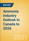 Ammonia Industry Outlook in Canada to 2026 - Market Size, Company Share, Price Trends, Capacity Forecasts of All Active and Planned Plants - Product Thumbnail Image