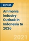 Ammonia Industry Outlook in Indonesia to 2026 - Market Size, Company Share, Price Trends, Capacity Forecasts of All Active and Planned Plants - Product Thumbnail Image