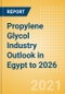 Propylene Glycol (PG) Industry Outlook in Egypt to 2026 - Market Size, Price Trends and Trade Balance - Product Thumbnail Image